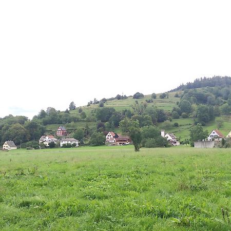 Les Studios Du Frankenthal Stosswihr Ngoại thất bức ảnh