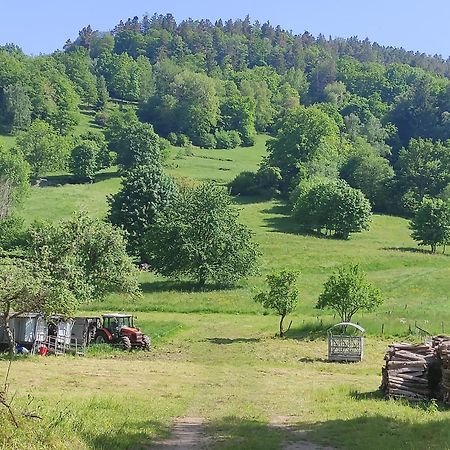 Les Studios Du Frankenthal Stosswihr Ngoại thất bức ảnh